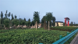 標題：張家口經(jīng)開(kāi)區腰站堡飲用水源地生態(tài)涵養綠化
瀏覽次數：2731
發(fā)表時(shí)間：2020-10-16