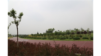 標題：大青山南坡生態(tài)修復
瀏覽次數：2245
發(fā)表時(shí)間：2020-10-16