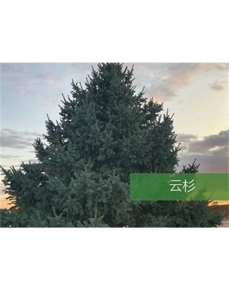 標題：?jiǎn)坦嗄?瀏覽次數：2329
發(fā)表時(shí)間：2020-10-17