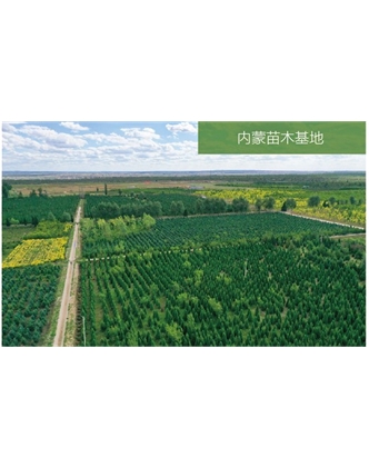 標題：苗木基地
瀏覽次數：2141
發(fā)表時(shí)間：2020-10-17
