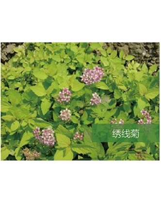 標題：?jiǎn)坦嗄?瀏覽次數：1690
發(fā)表時(shí)間：2020-10-17