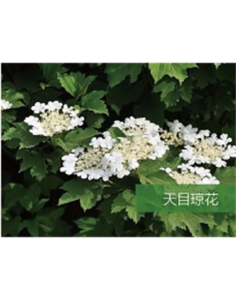標題：?jiǎn)坦嗄?瀏覽次數：1681
發(fā)表時(shí)間：2020-10-17