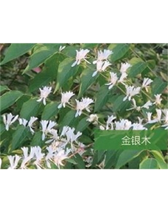標題：?jiǎn)坦嗄?瀏覽次數：1601
發(fā)表時(shí)間：2020-10-17