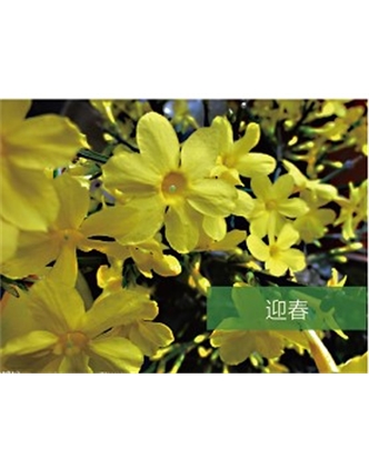 標題：?jiǎn)坦嗄?瀏覽次數：1521
發(fā)表時(shí)間：2020-10-17