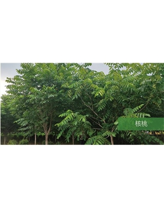 標題：?jiǎn)坦嗄?瀏覽次數：1578
發(fā)表時(shí)間：2020-10-17