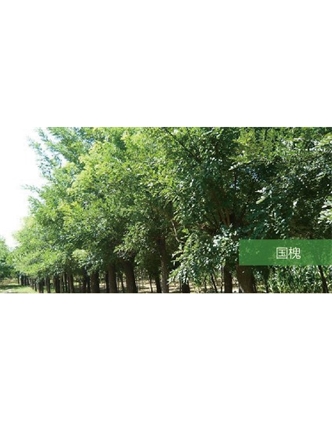 標題：?jiǎn)坦嗄?瀏覽次數：1763
發(fā)表時(shí)間：2020-10-17