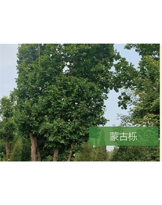 標題：?jiǎn)坦嗄?瀏覽次數：2297
發(fā)表時(shí)間：2020-10-17