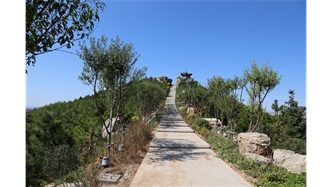 標題：張家口太子山山體修復
瀏覽次數：18599
發(fā)表時(shí)間：2020-11-12