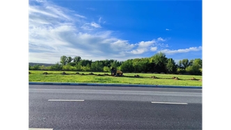 標題：伊利現(xiàn)代智慧健康谷道路綠化建設項目
瀏覽次數(shù)：2826
發(fā)表時間：2023-11-07